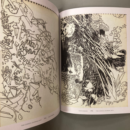 The Comics Journal #311