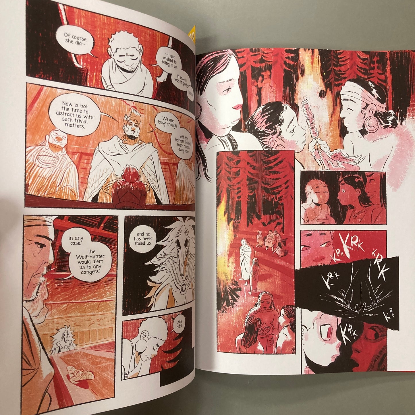 Cry Wolf Girl (Hardcover)