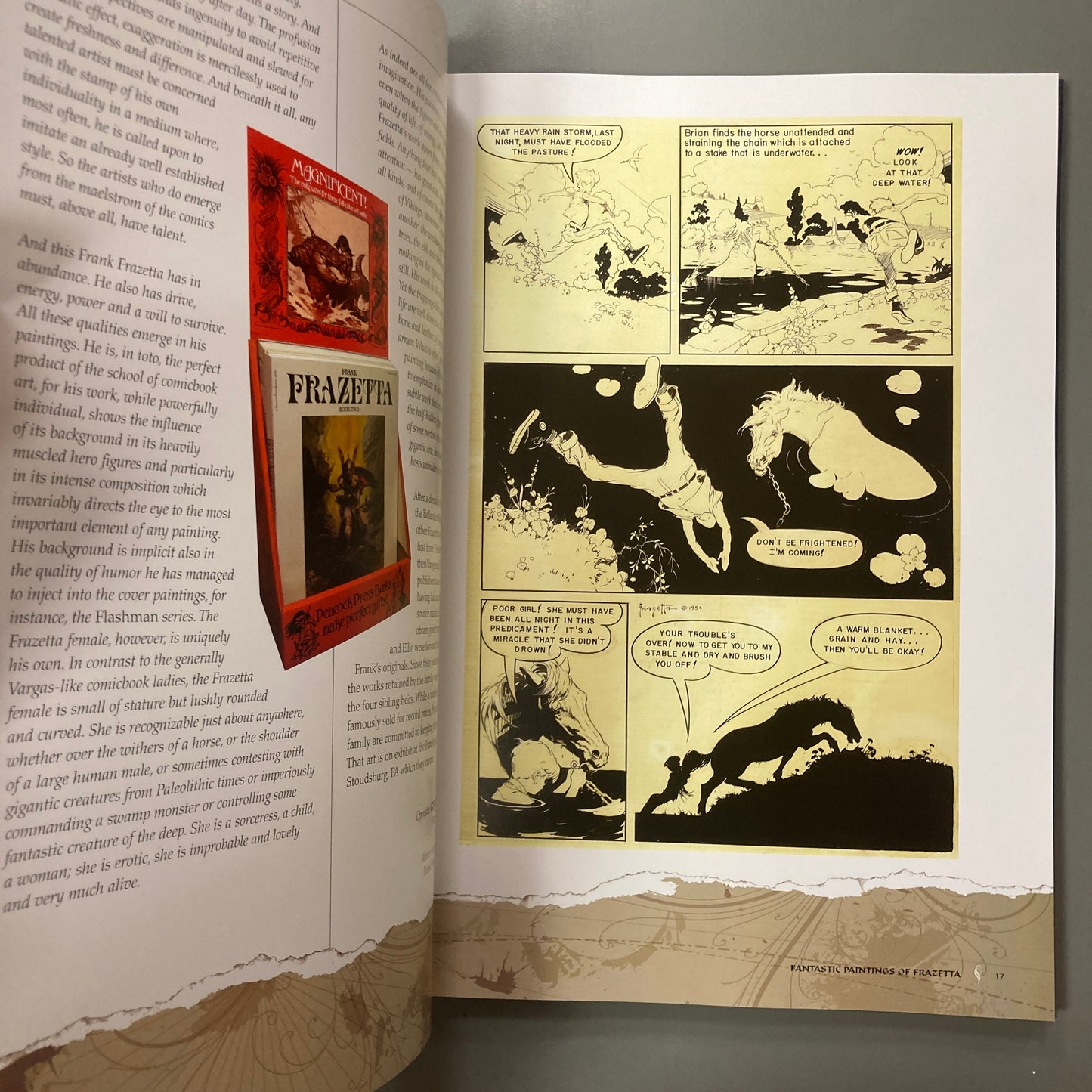 Fantastic Paintings of Frazetta