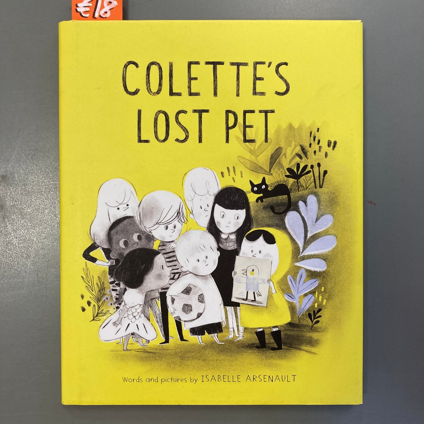 Colette's Lost Pet