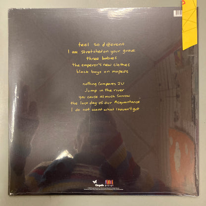 I Do Not Want What I Haven't Got (Vinyl)