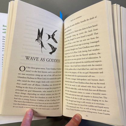 Thirty-Two Words for Field