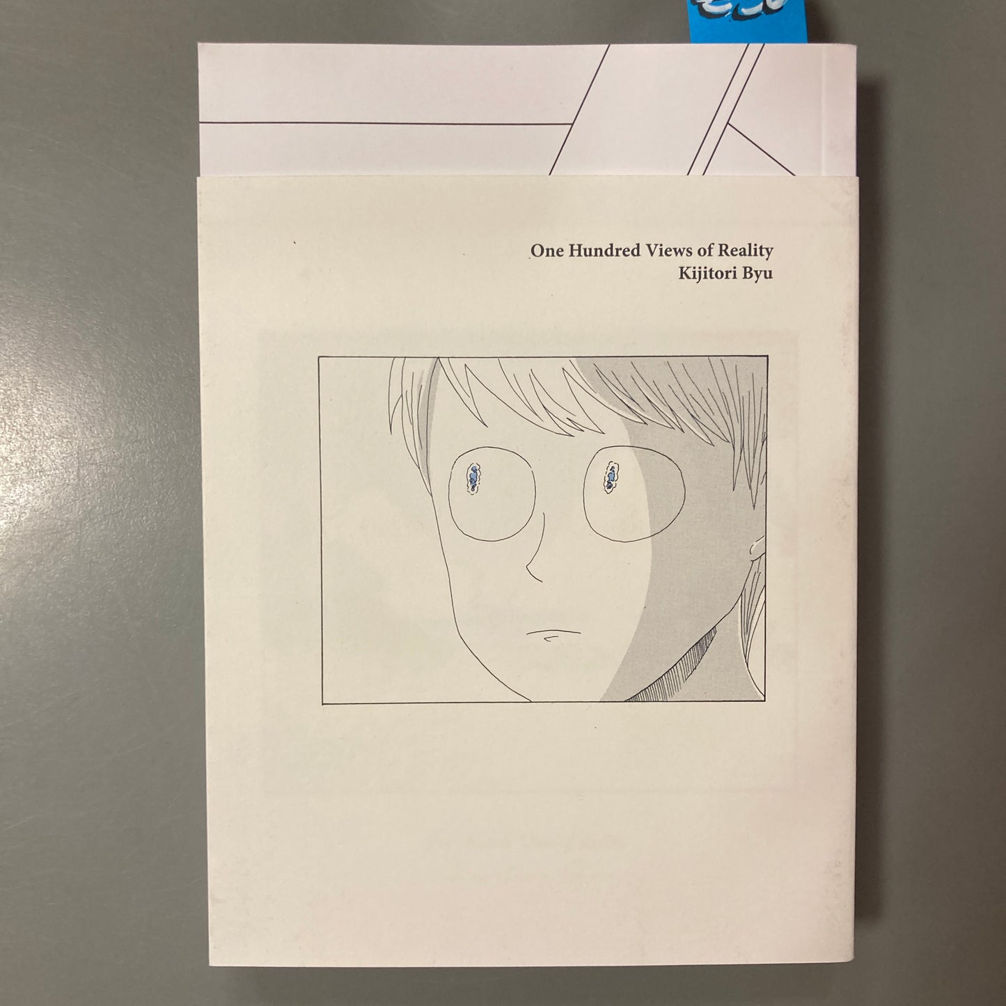 One Hundred Views of Reality