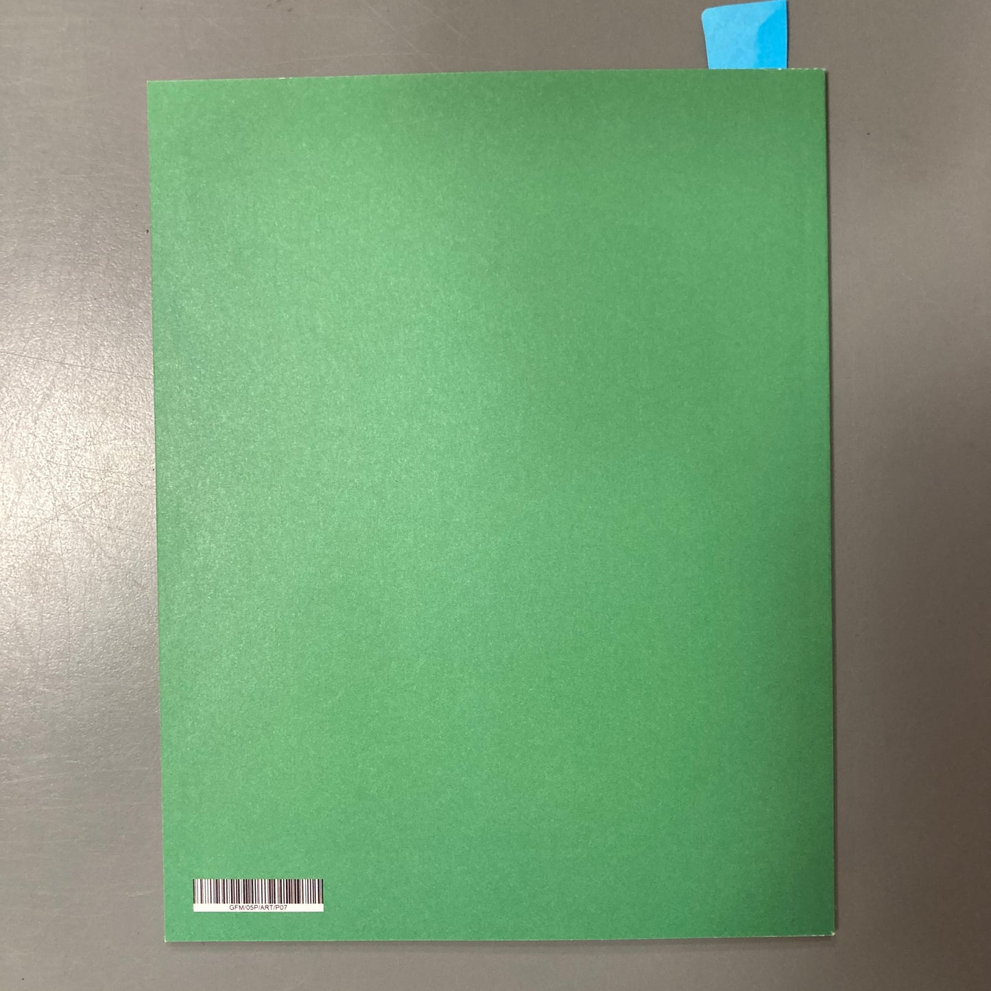 Girl, Flower, Mouse, Rabbit, Egg, and Cat