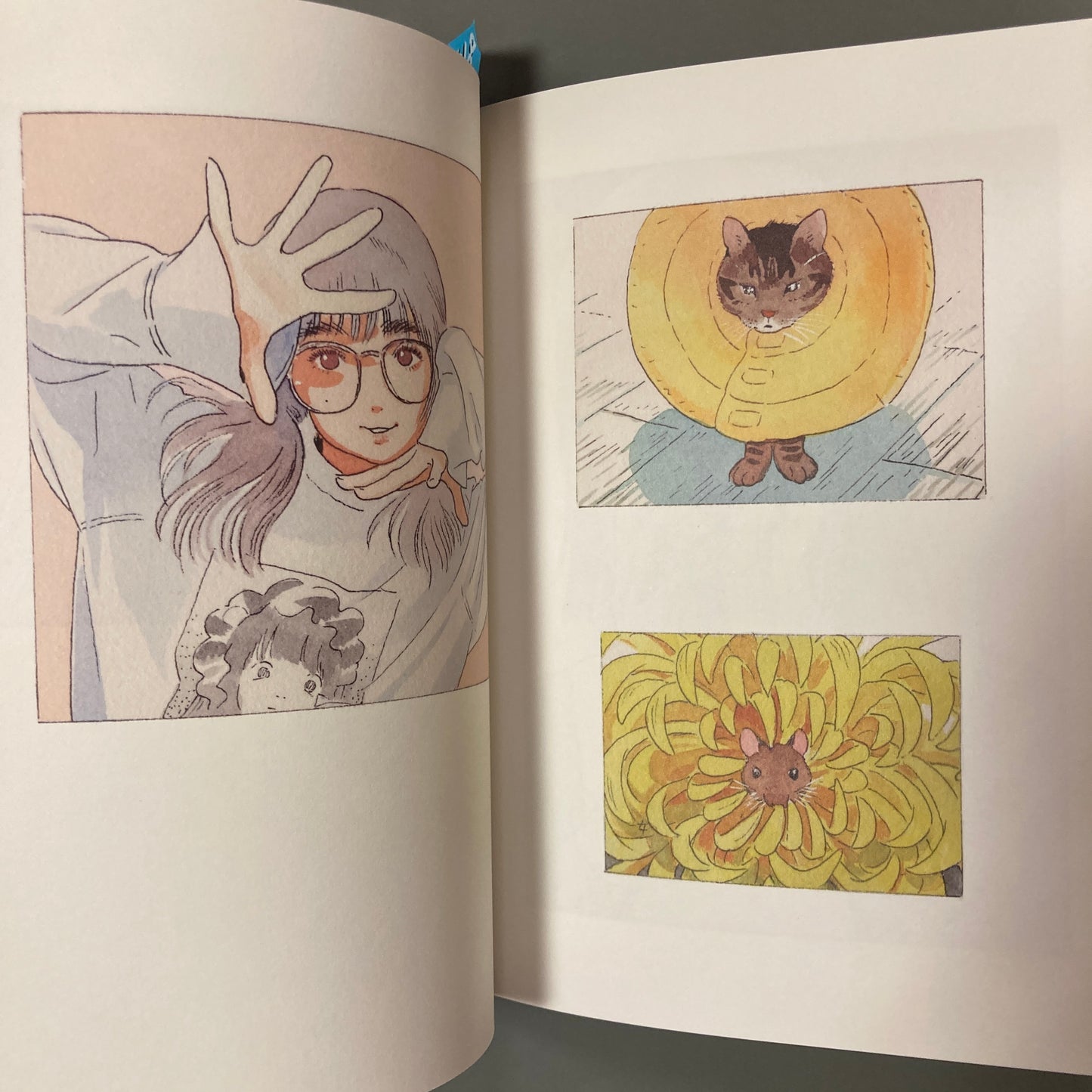 Girl, Flower, Mouse, Rabbit, Egg, and Cat