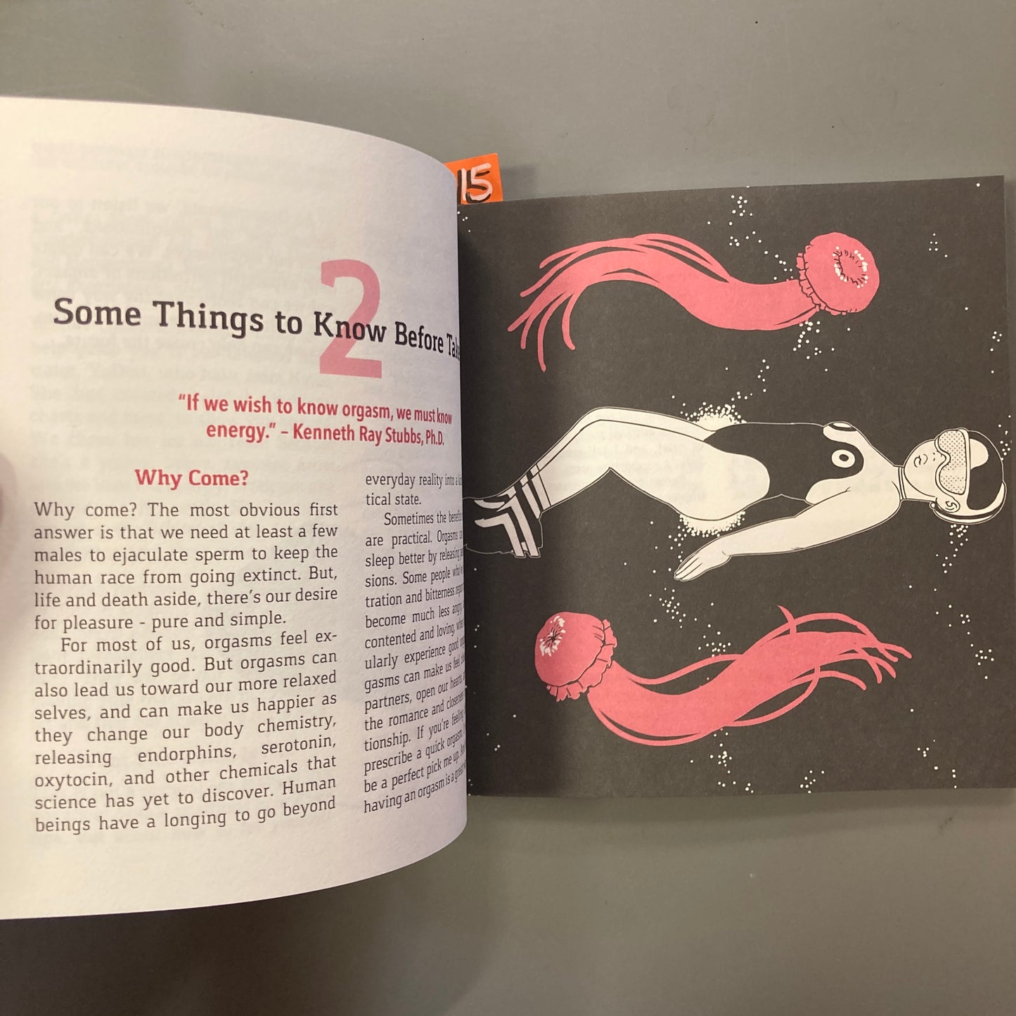 The Explorer's Guide to Planet Orgasm