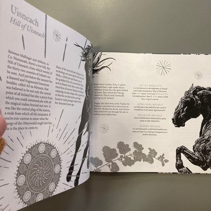 Wolf-Men and Water Hounds: The Myths, Monsters and Magic of Ireland