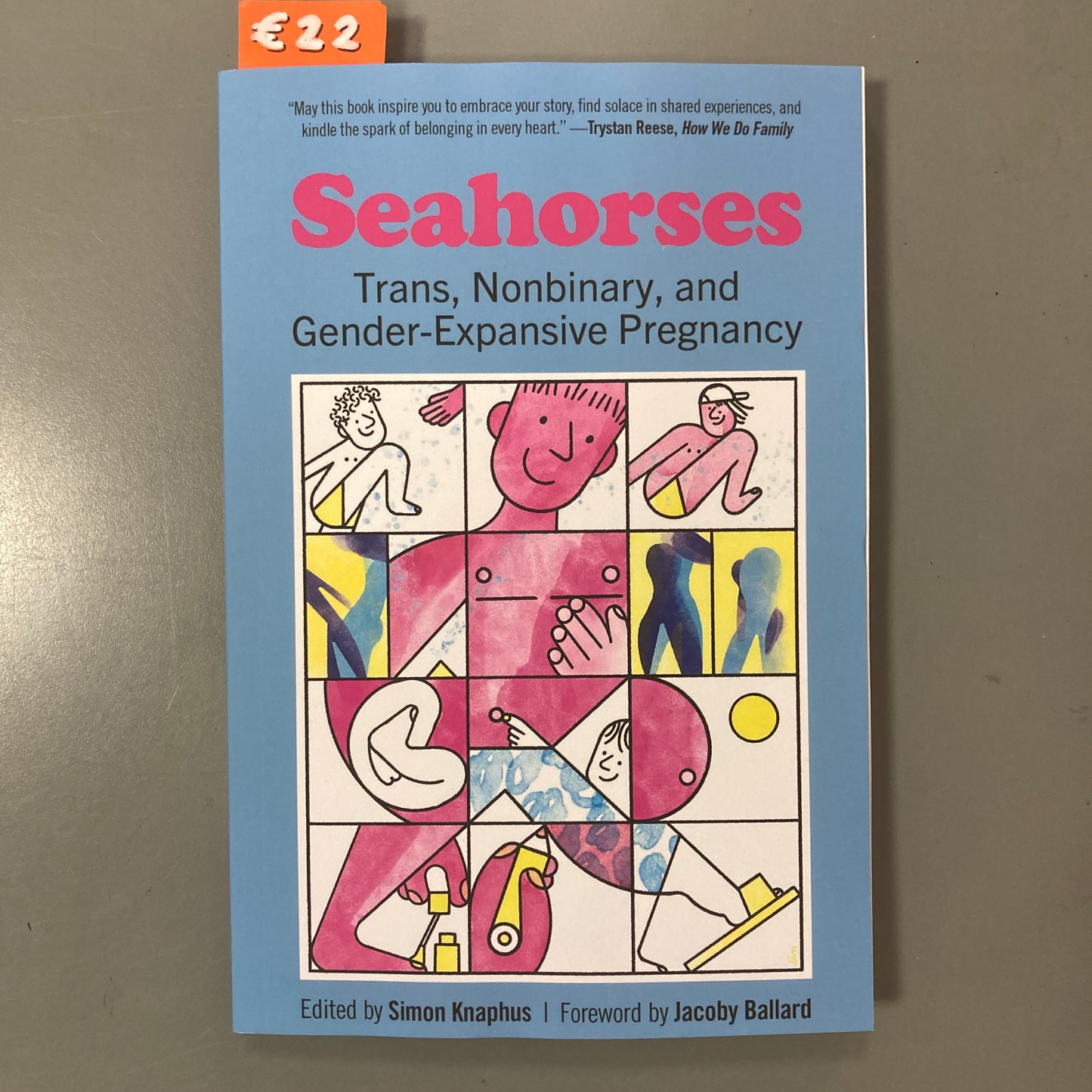 Seahorses: Trans, Nonbinary, and Gender-Expansive Pregnancy