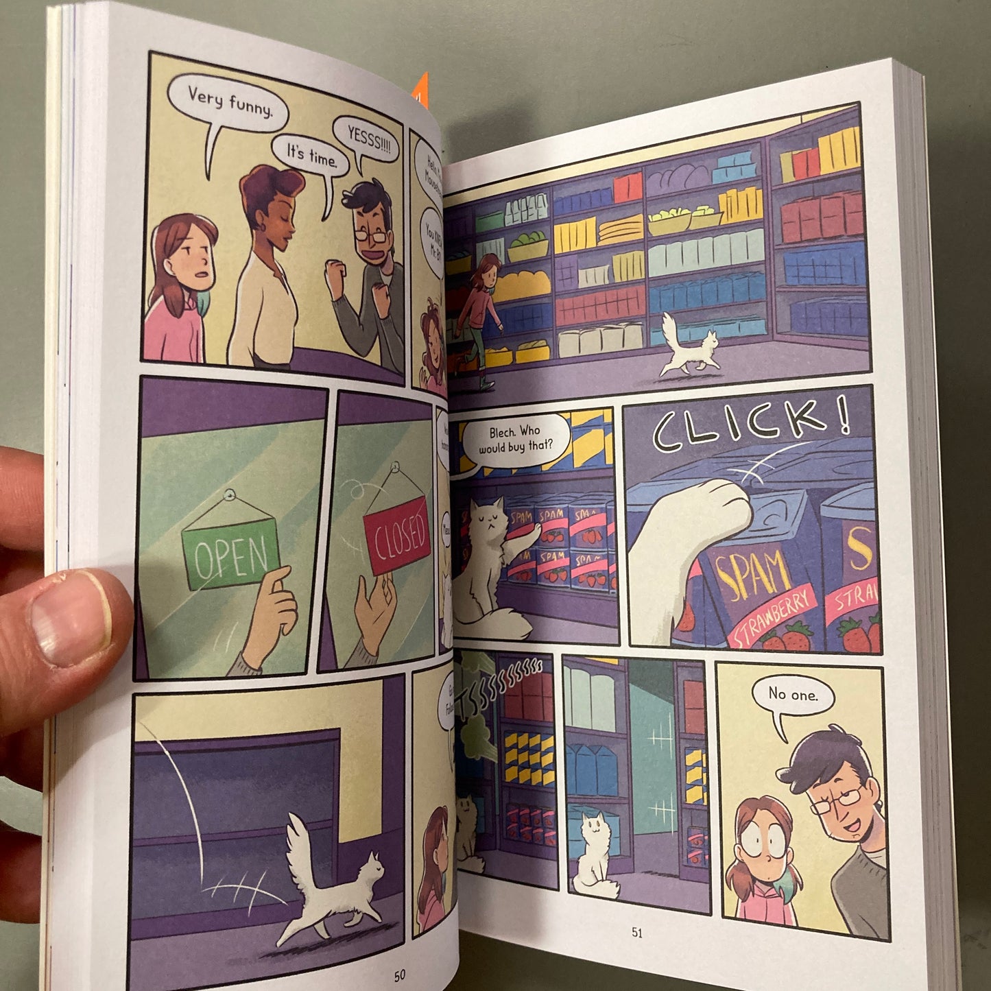 Katie the Catsitter 2: Best Friends for Never