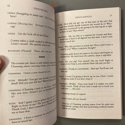 Pink Flamingos, A Screenplay
