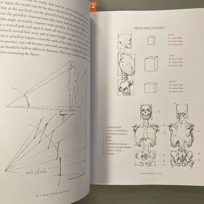 Bridgman's Complete Guide to Drawing From Life
