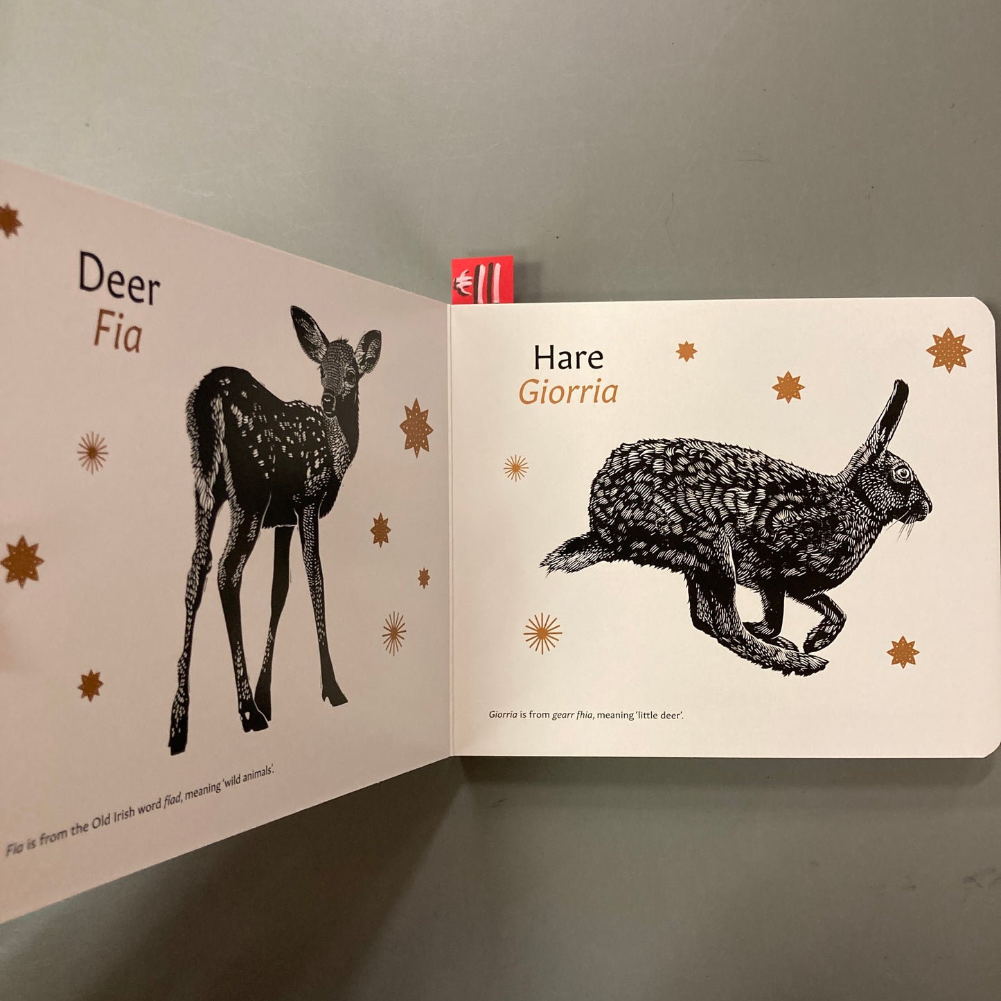 Irish Words for Nature