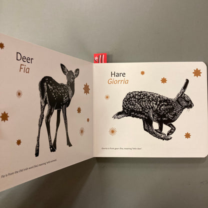 Irish Words for Nature