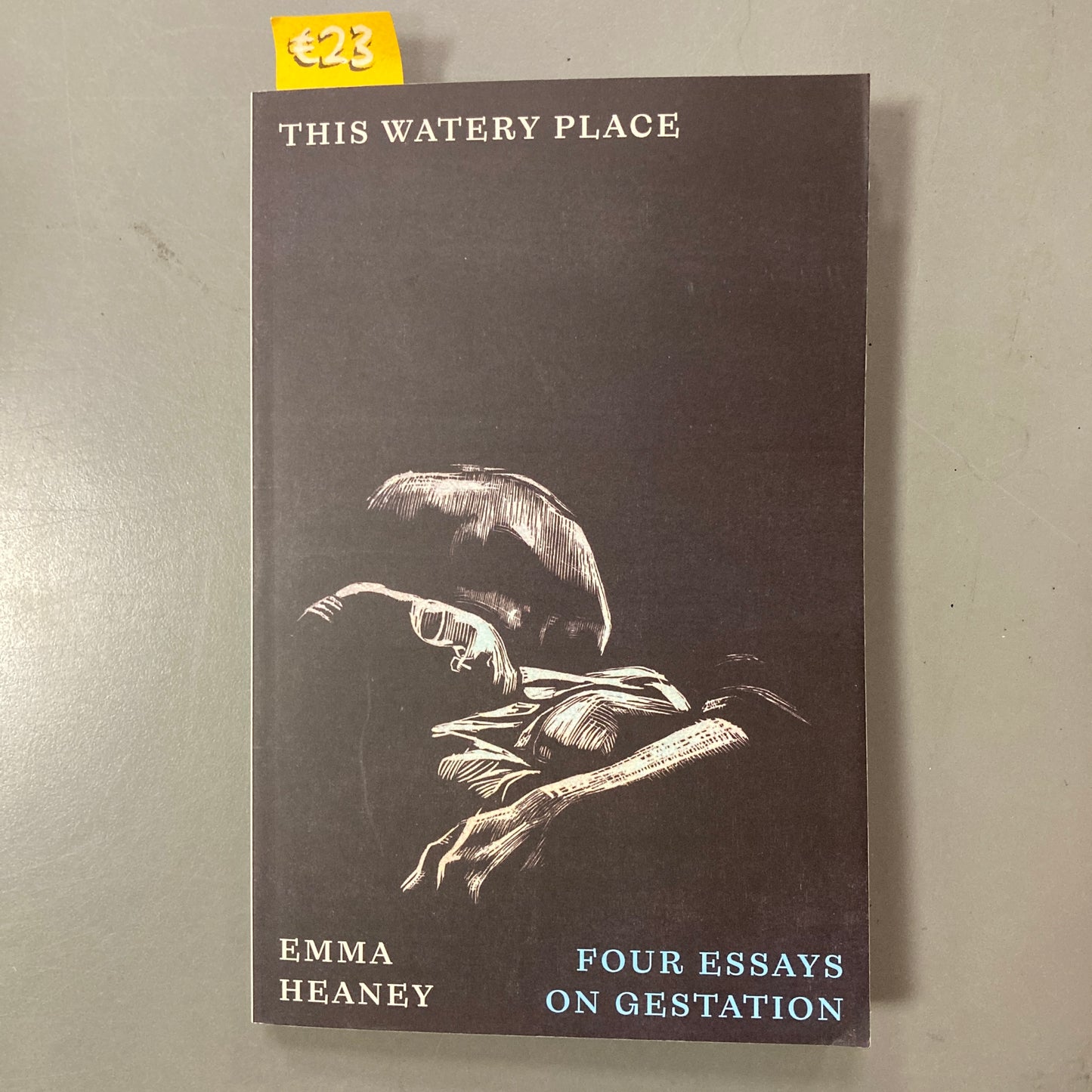 This Watery Place: Four Essays on Gestation