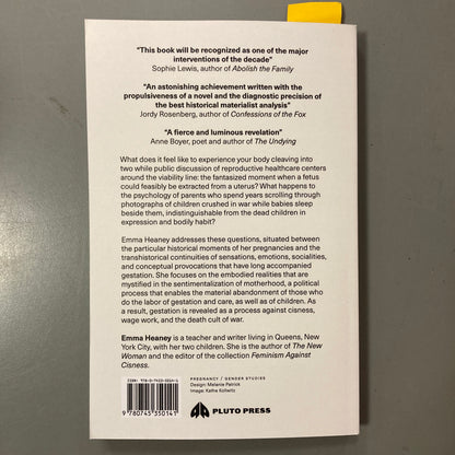 This Watery Place: Four Essays on Gestation
