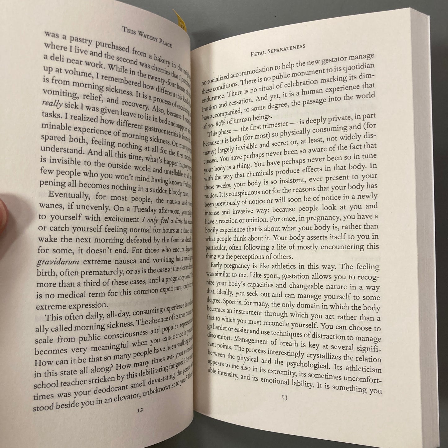 This Watery Place: Four Essays on Gestation