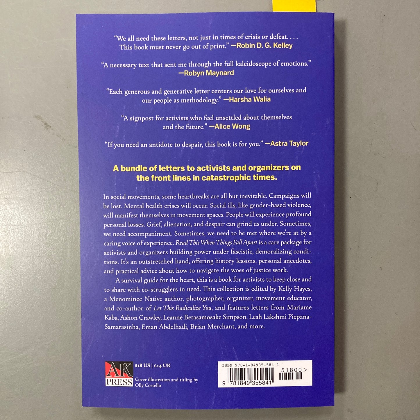Read This When Things Fall Apart: Letters to Activists in Crisis