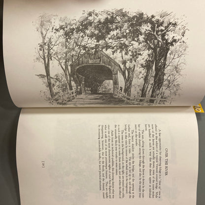 Landscape Drawing in Pencil