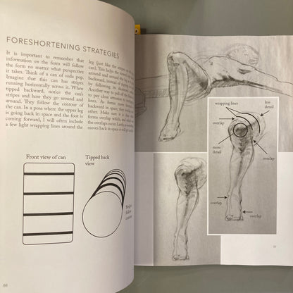 The Quick Pose: A Compilation of Gestures and Thoughts on Figure Drawing
