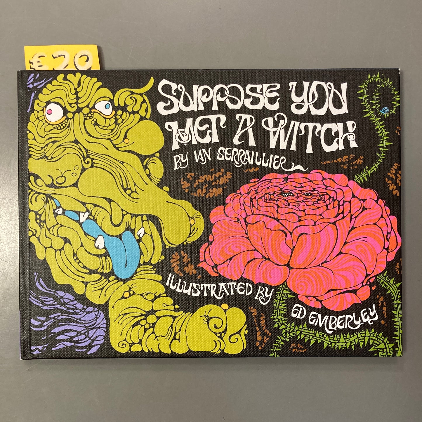 Suppose You Met A Witch