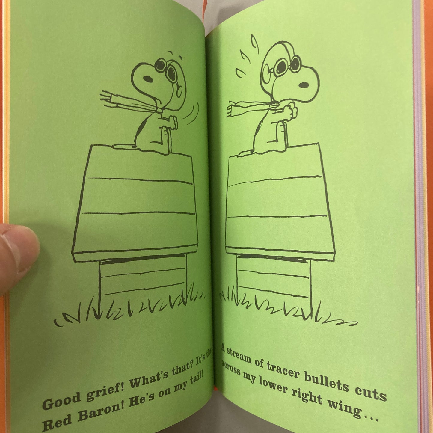 Snoopy and the Red Baron