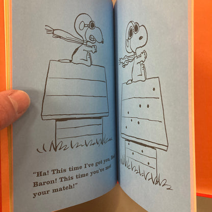 Snoopy and the Red Baron