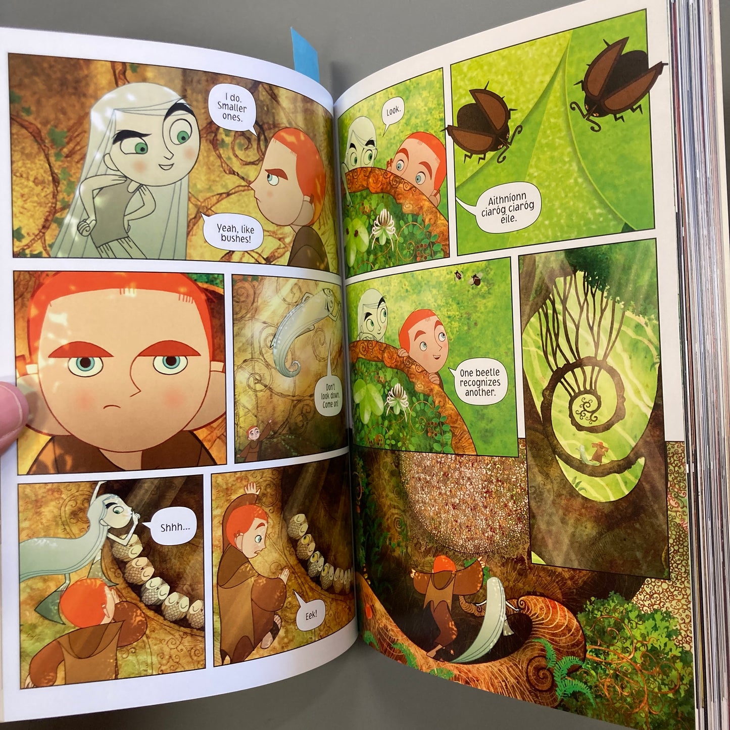 Secret of Kells, The Graphic Novel