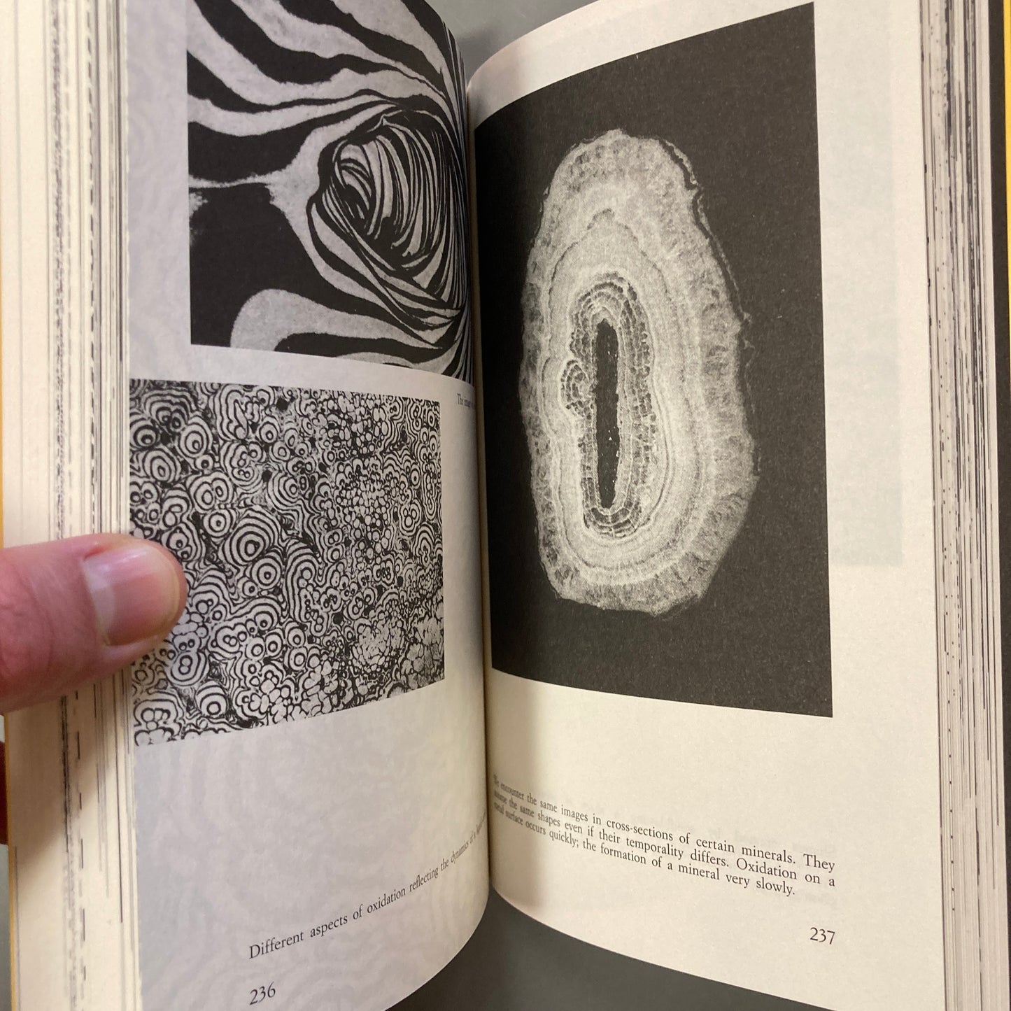 Design and Visual Communication
