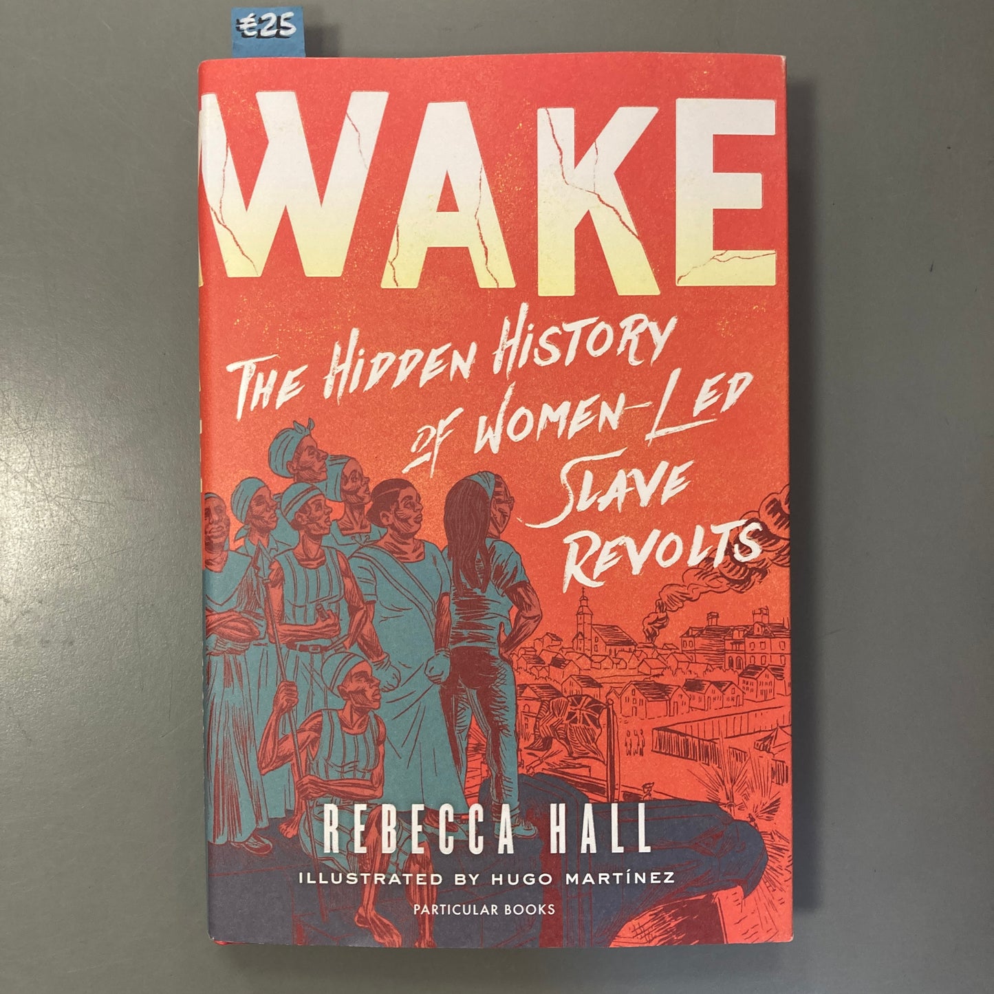 Wake: The Hidden History of Women-Led Slave Revolts