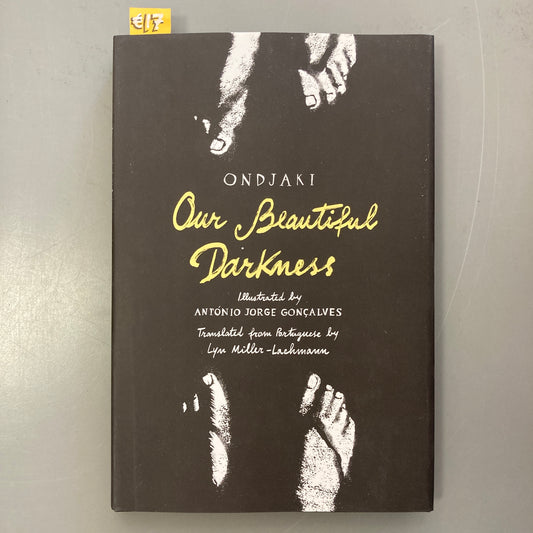 Our Beautiful Darkness