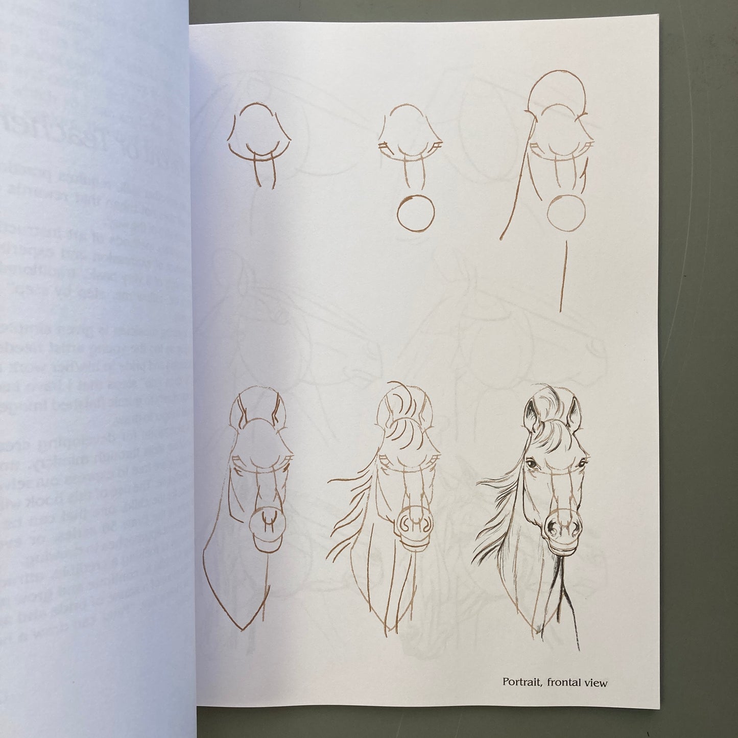 Draw 50 Horses