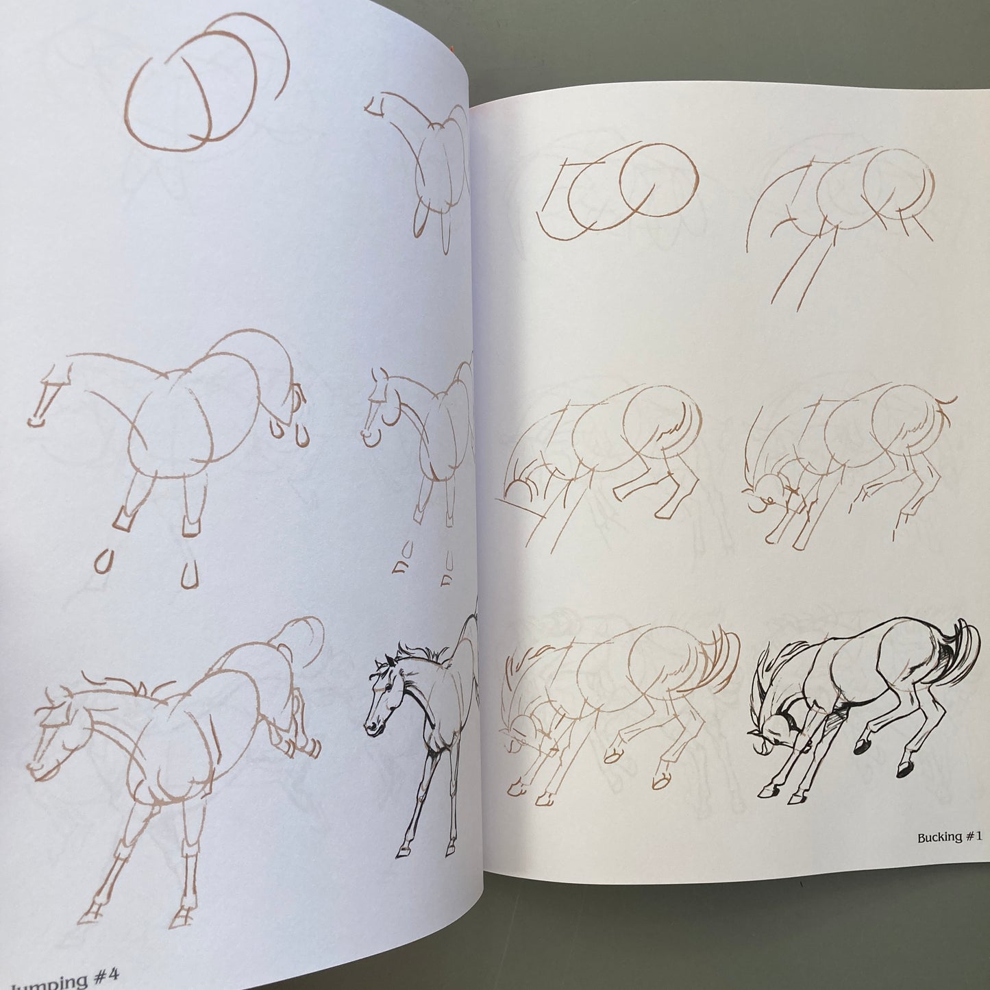 Draw 50 Horses