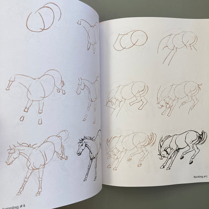 Draw 50 Horses