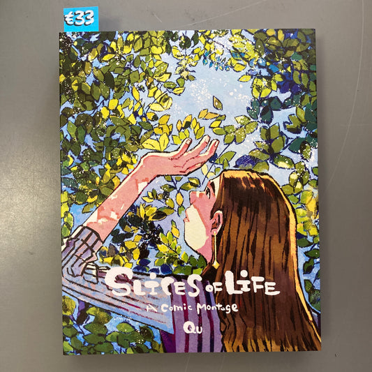 Slices of Life, A Comic Montage