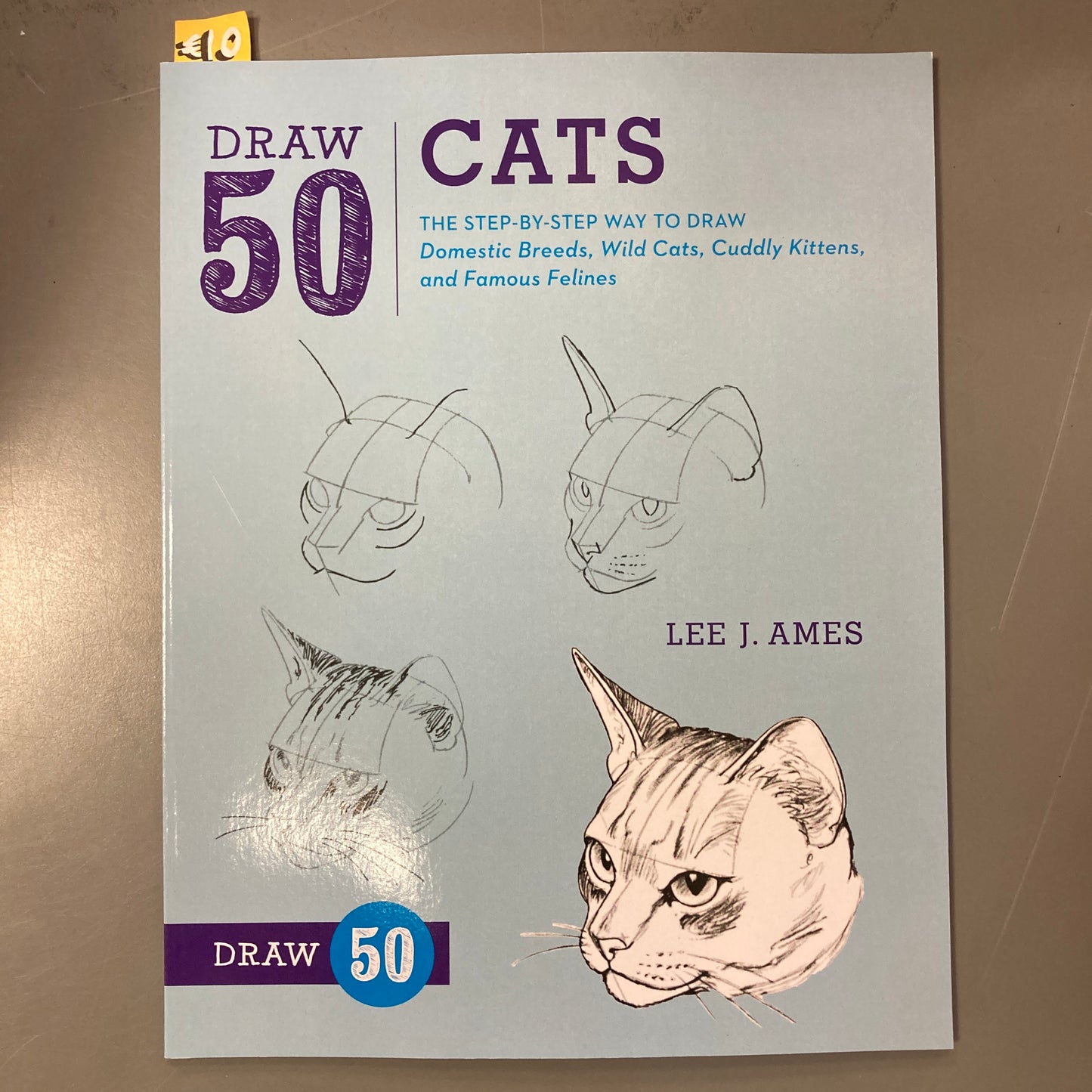 Draw 50 Cats
