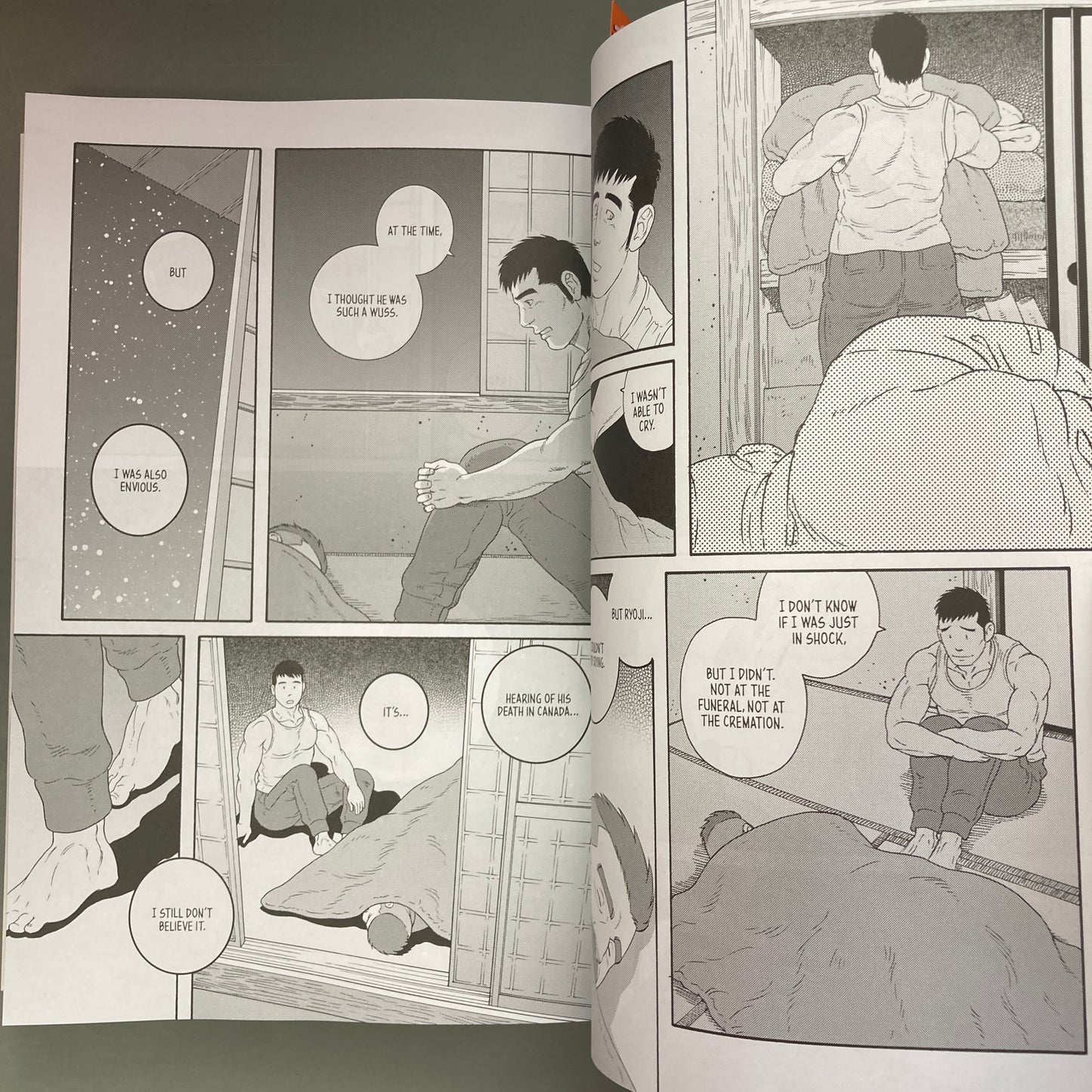 My Brother's Husband