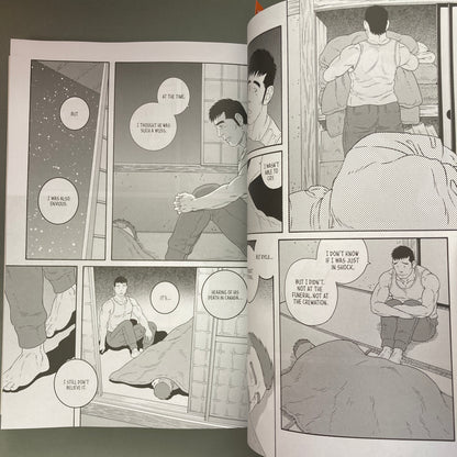 My Brother's Husband