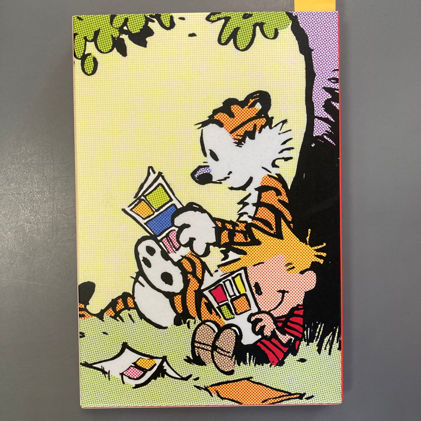 The Calvin and Hobbes Portable Compendium, Books 1+2