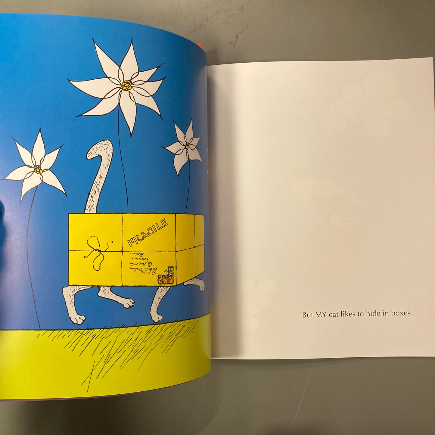 My Cat Likes to Hide in Boxes