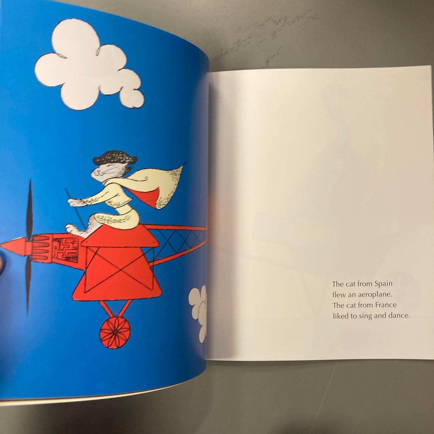 My Cat Likes to Hide in Boxes