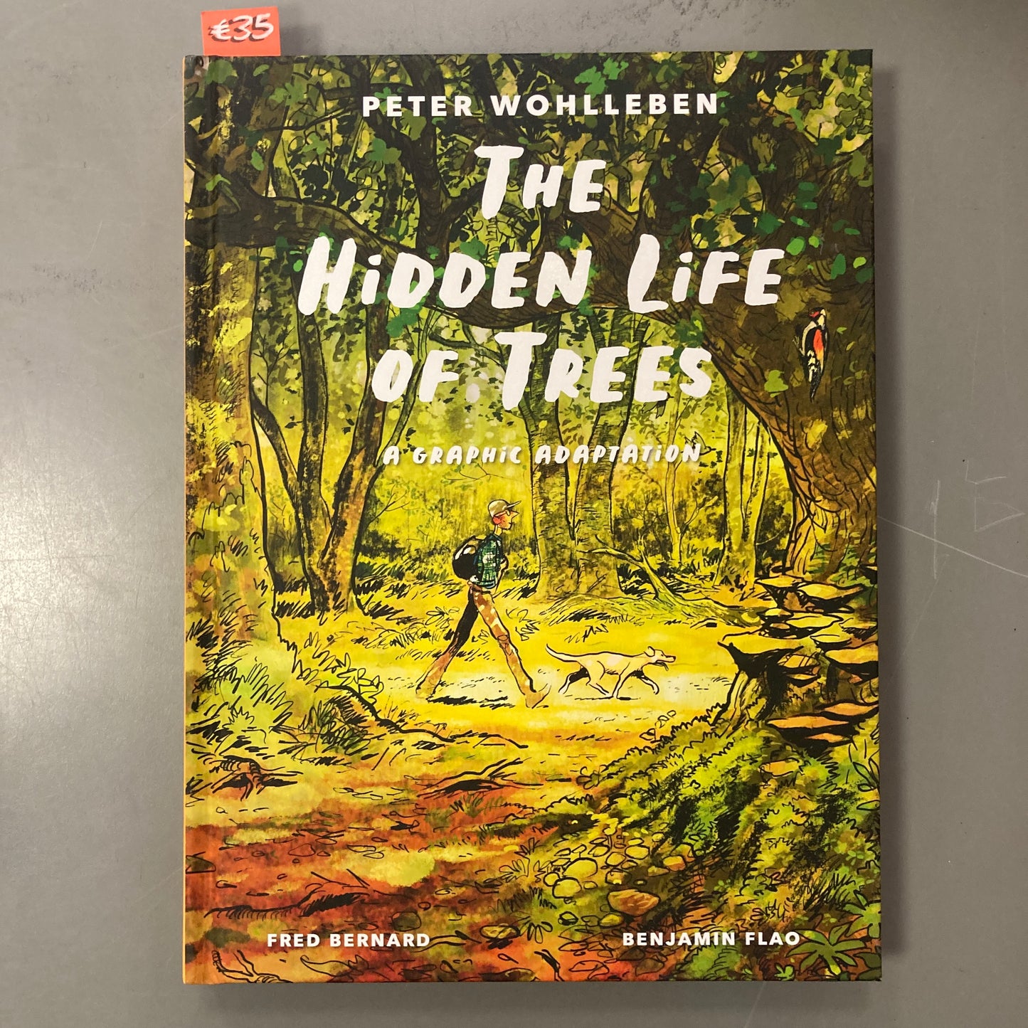 The Hidden Life of Trees, A Graphic Adaptation