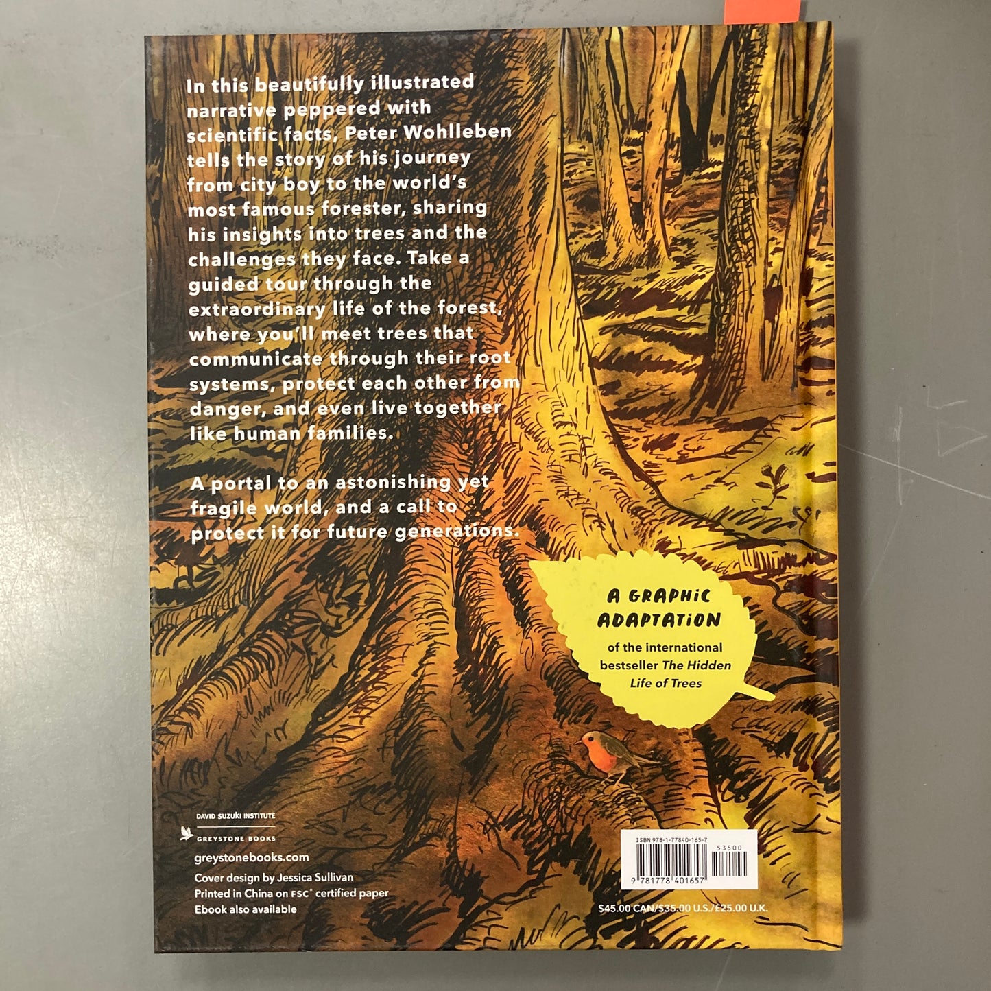 The Hidden Life of Trees, A Graphic Adaptation