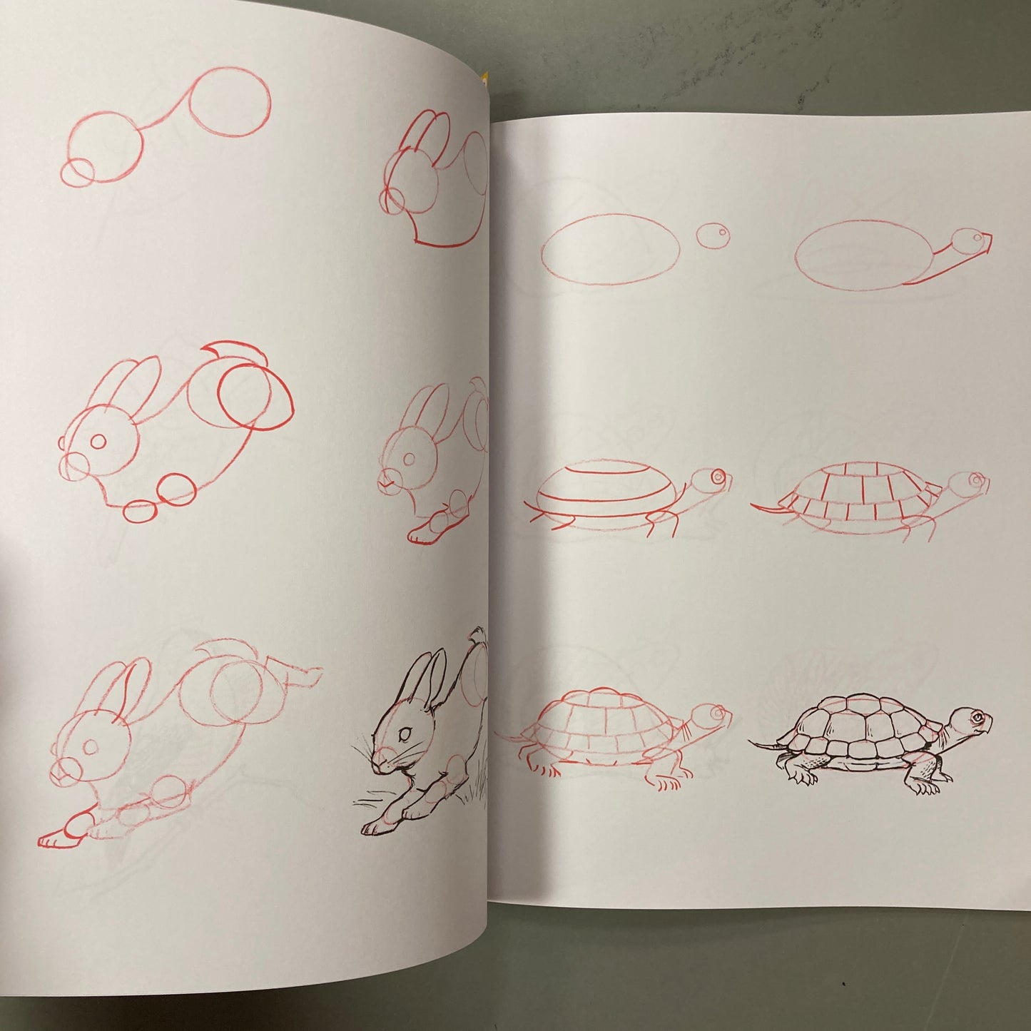 Draw 50 Animals