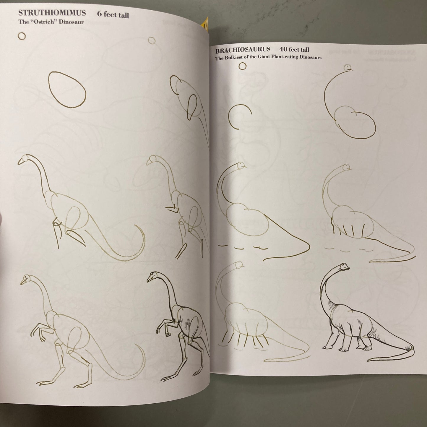 Draw 50 Dinosaurs and Other Prehistoric Animals
