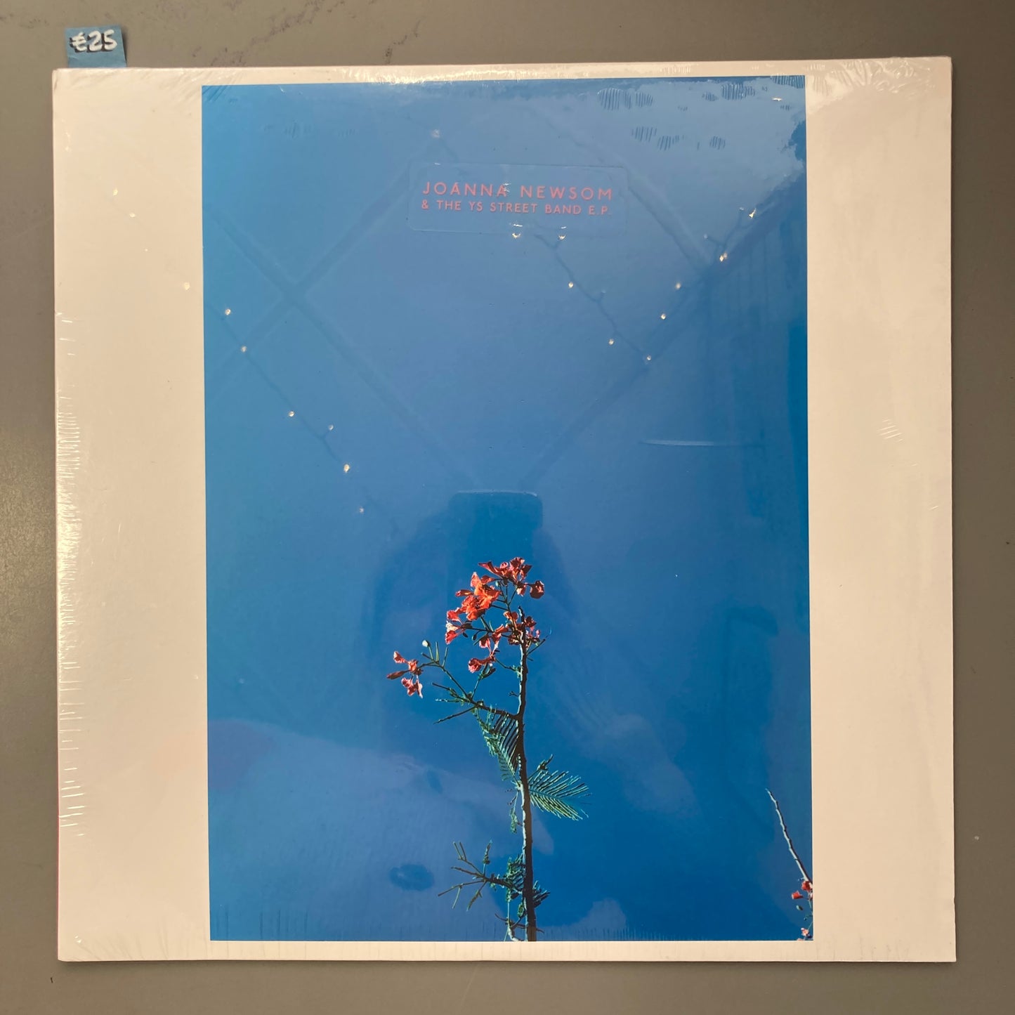 Joanna Newsom & The Ys Street Band EP (Vinyl)