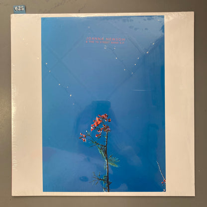 Joanna Newsom & The Ys Street Band EP (Vinyl)