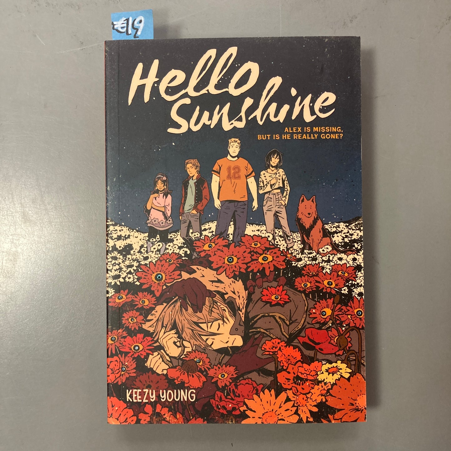 Hello Sunshine