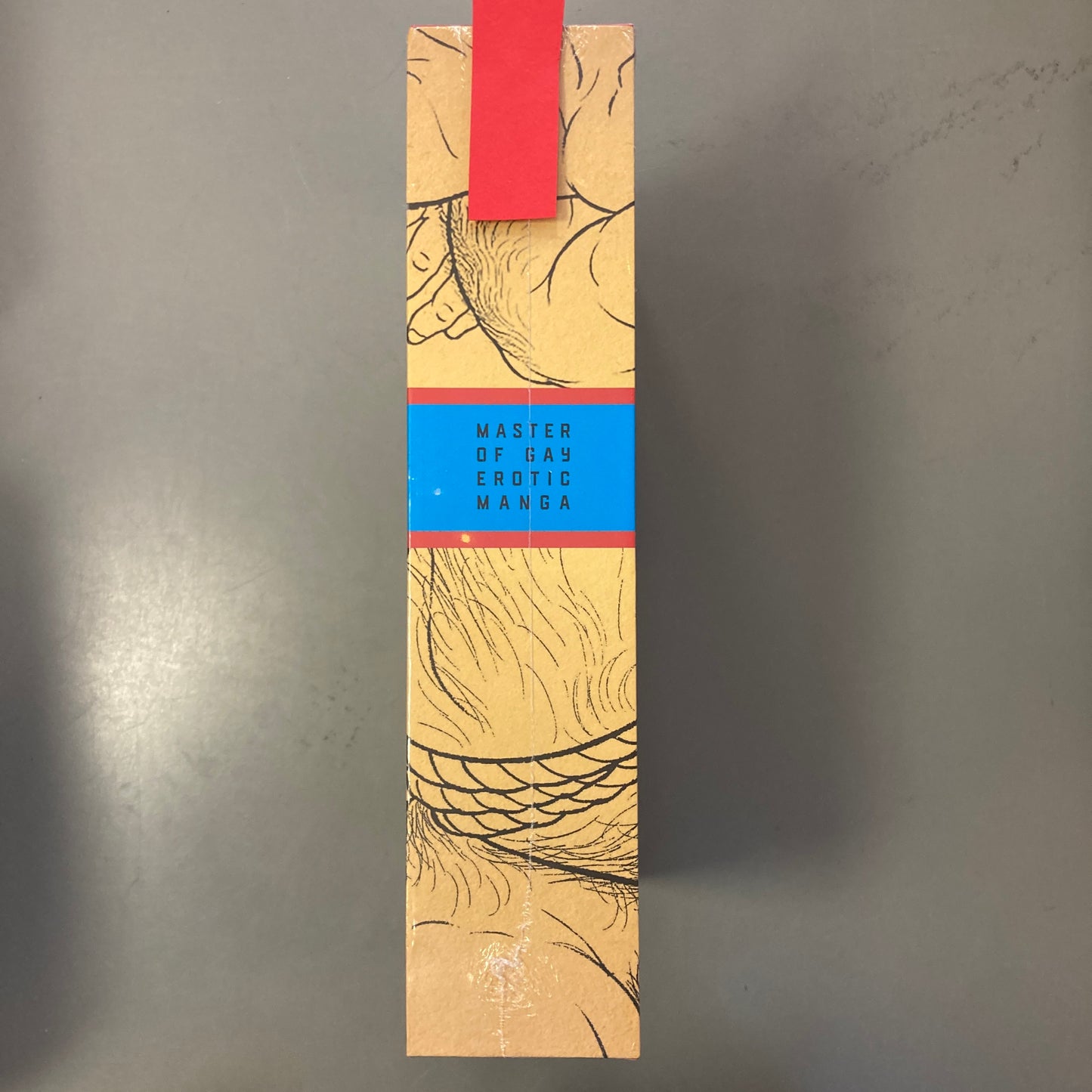 The Passion of Gengoroh Tagame: Master of Gay Erotic Manga: Box Set