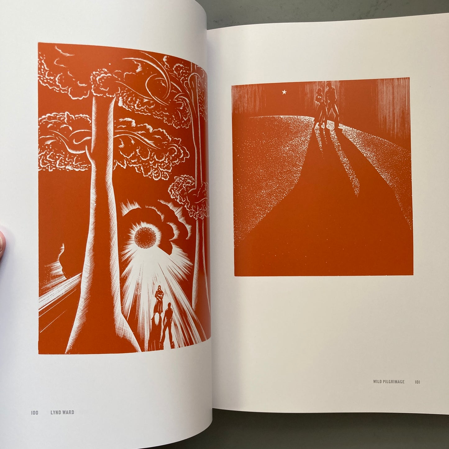 Graphic Witness: Five Wordless Graphic Novels