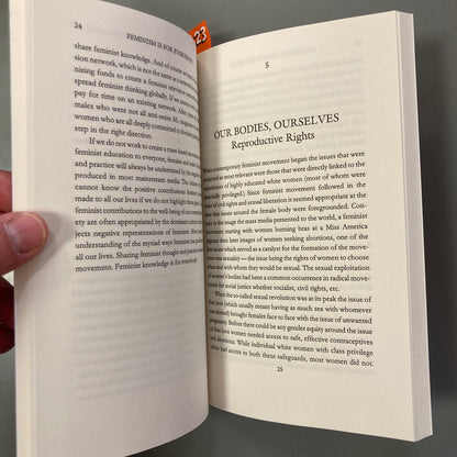 Feminism is for Everybody